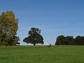 2013-1024-1135_MordenPark_16C